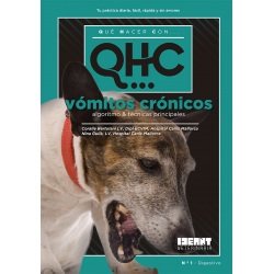Qué Hacer Con... Vómitos Crónicos
