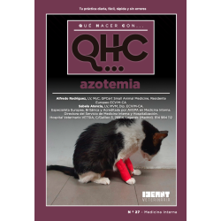 Qué Hacer Con... Azotemia